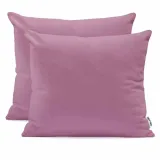 chp-amber-plum-50x50-2