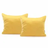 chp-amber-orange-50x60-2