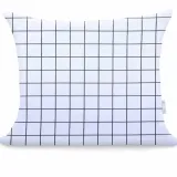 chp-ducato-modest-50x60-2-stan-nowy