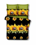 pos-emerald-katrin-200x220-80x80-2