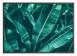 poster-attalea-40x50-stan-nowy