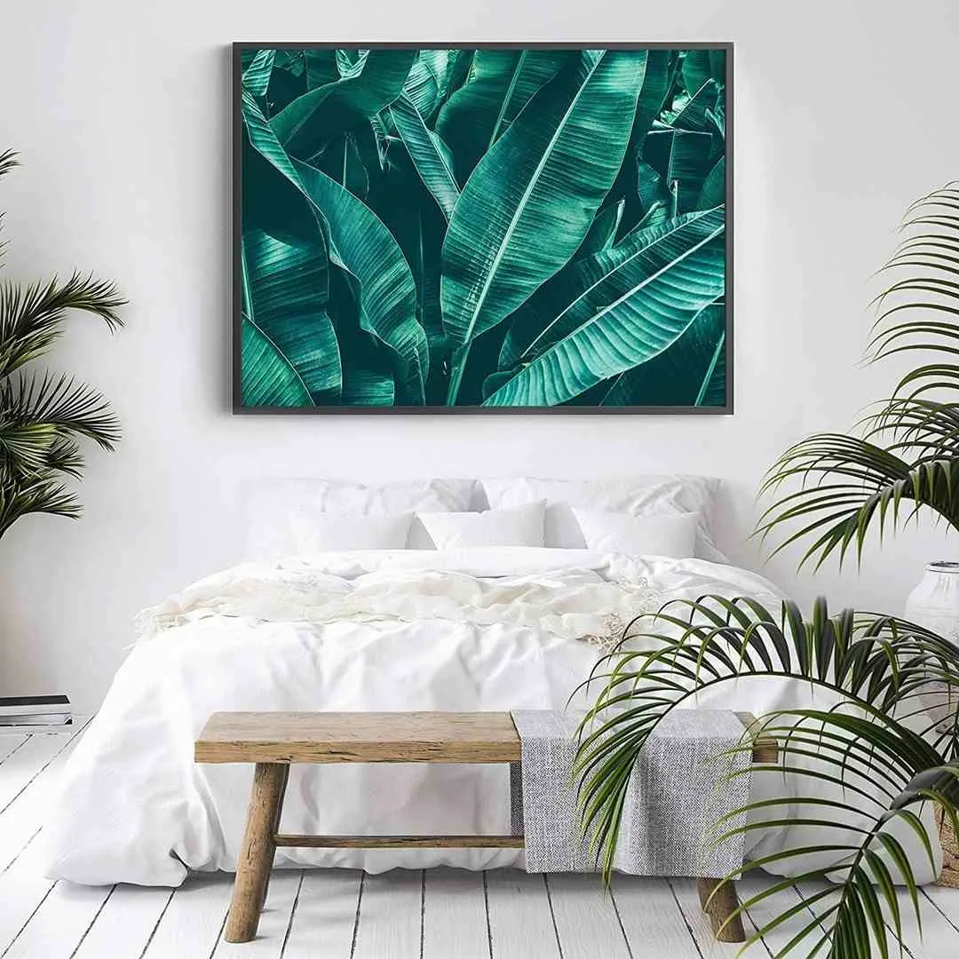 poster-attalea-70x100