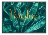 poster-attalea-paradise-70x100-stan-nowy