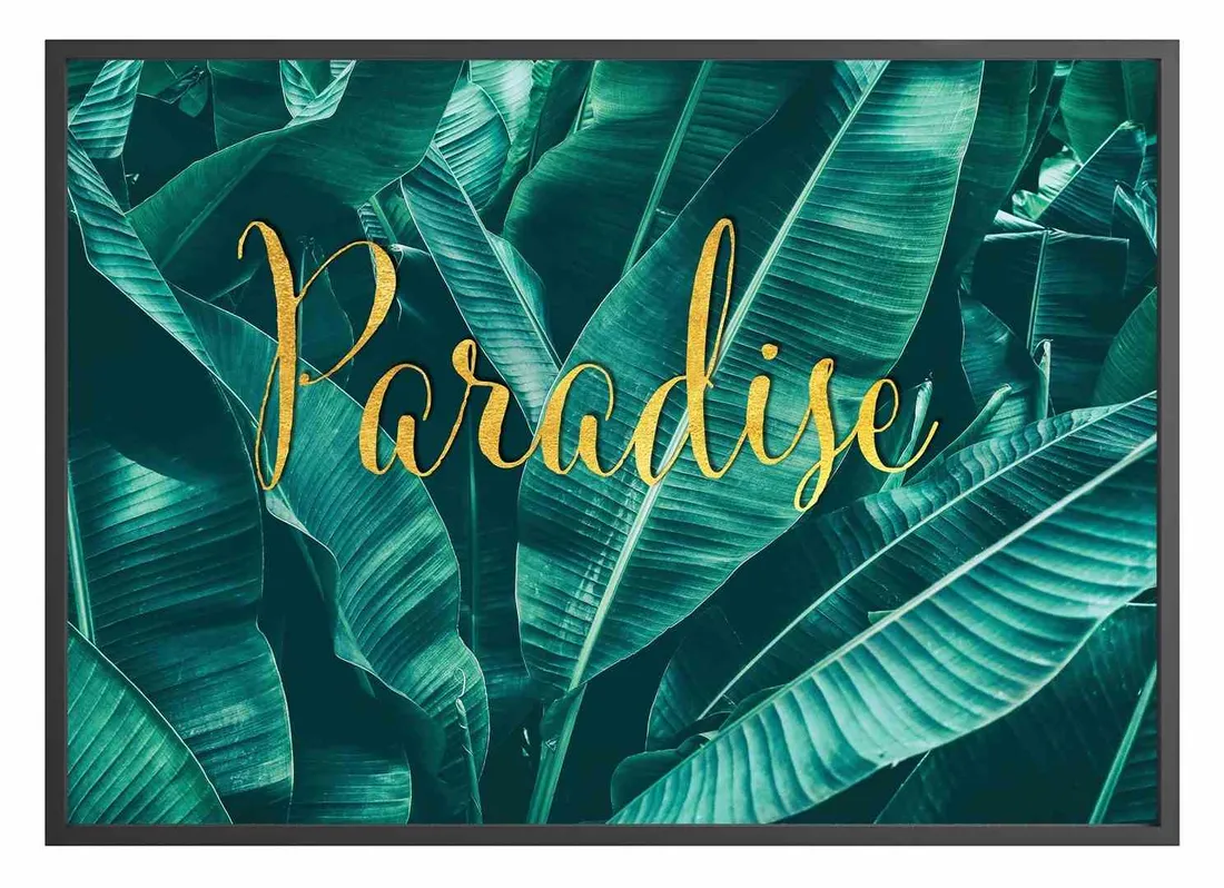 poster-attalea-paradise-70x100