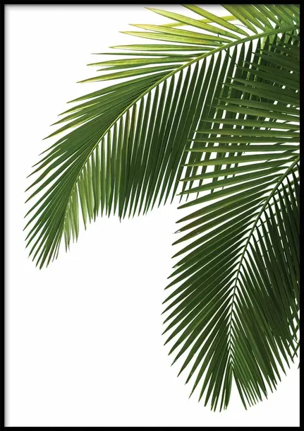 poster-bahamas-50x70-stan-nowy