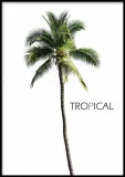 poster-bermuda-tropical-50x70-stan-nowy