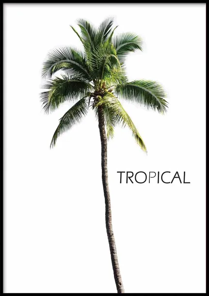 poster-bermuda-tropical-70x100-stan-nowy