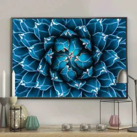 poster-blossom-40x50