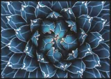 poster-blossom-40x50-stan-nowy