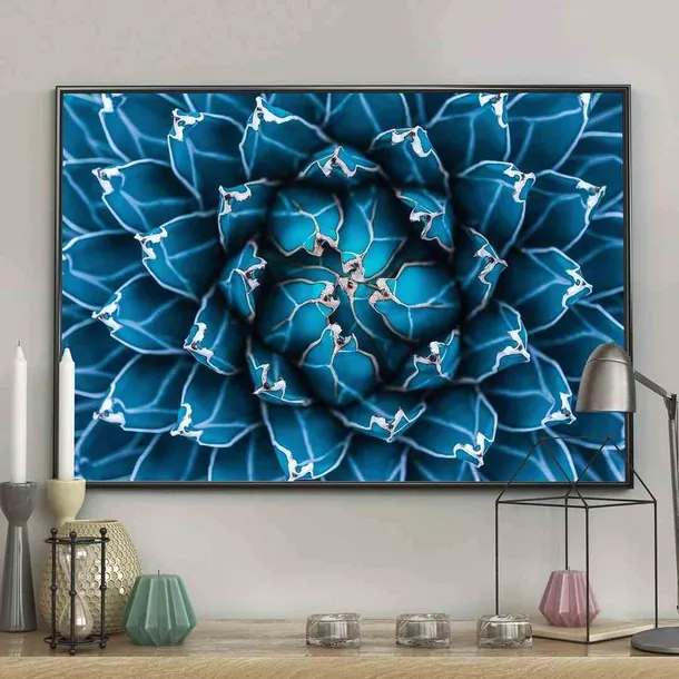 poster-blossom-50x70