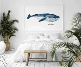 poster-blue-whale-40x50-stan-nowy
