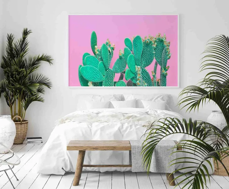 poster-cactus-70x100-stan-nowy