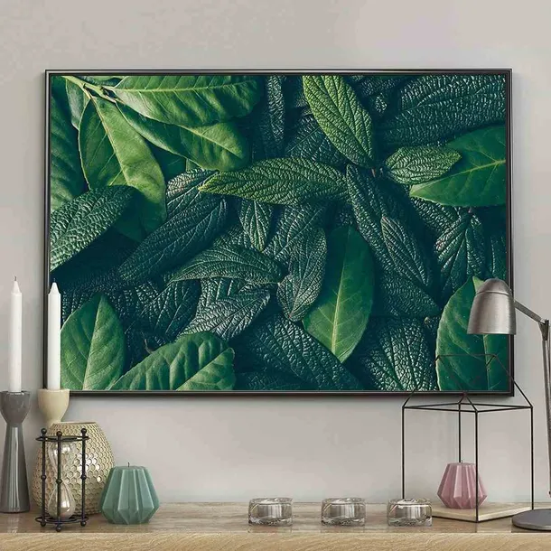 poster-canopy-40x50