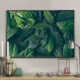 poster-canopy-40x50