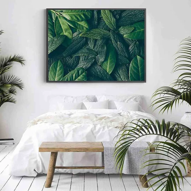 poster-canopy-70x100-stan-nowy