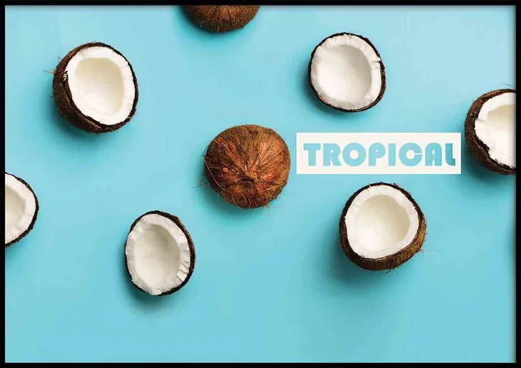 poster-coconuts-70x100-stan-nowy