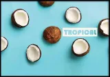 poster-coconuts-70x100-stan-nowy