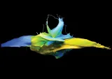 poster-colours-40x50-stan-nowy