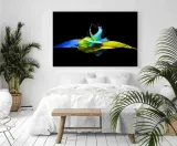 poster-colours-40x50-stan-nowy
