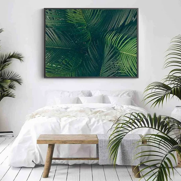poster-evergreen-40x50-stan-nowy