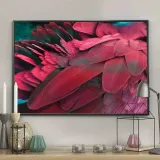 poster-feathers-red-40x50