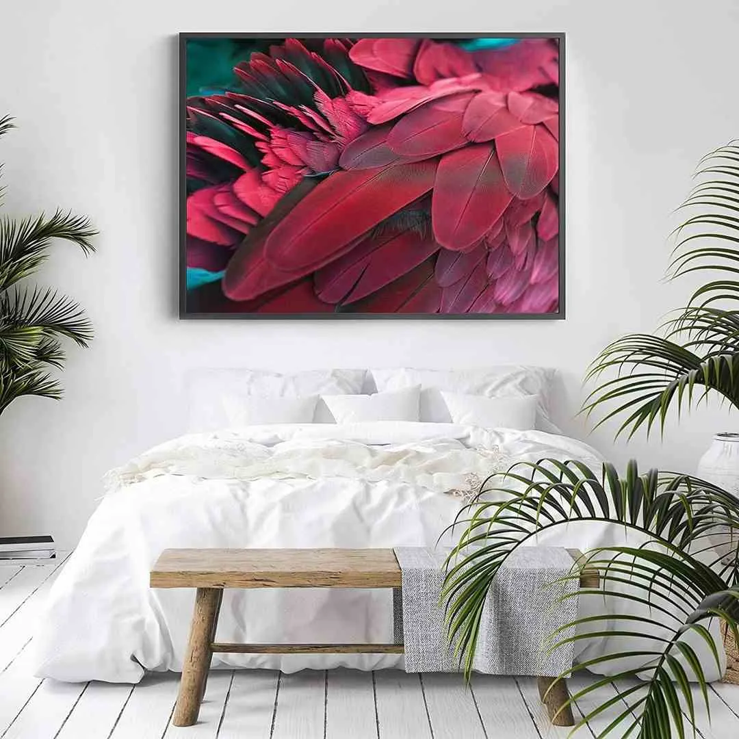 poster-feathers-red-40x50