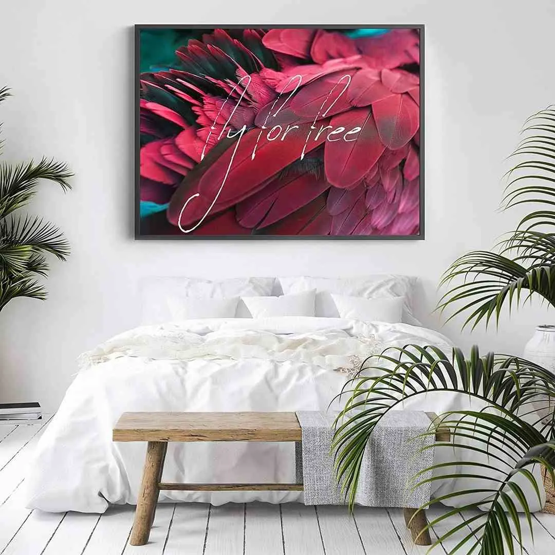 poster-feathers-red-free-50x70