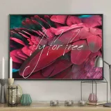 poster-feathers-red-free-70x100