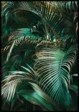 poster-flora-50x70-stan-nowy