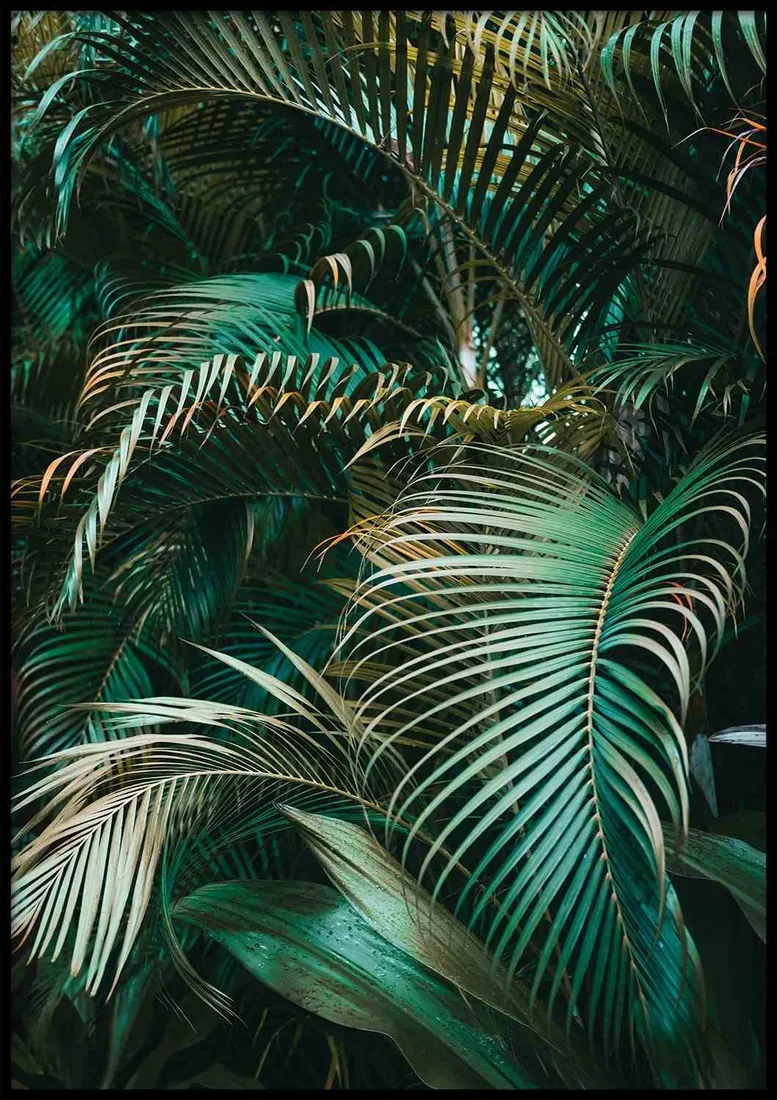 poster-flora-50x70