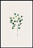 poster-herbarium-40x50-stan-nowy