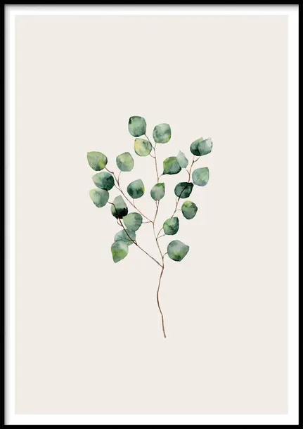 poster-herbarium-50x70-stan-nowy
