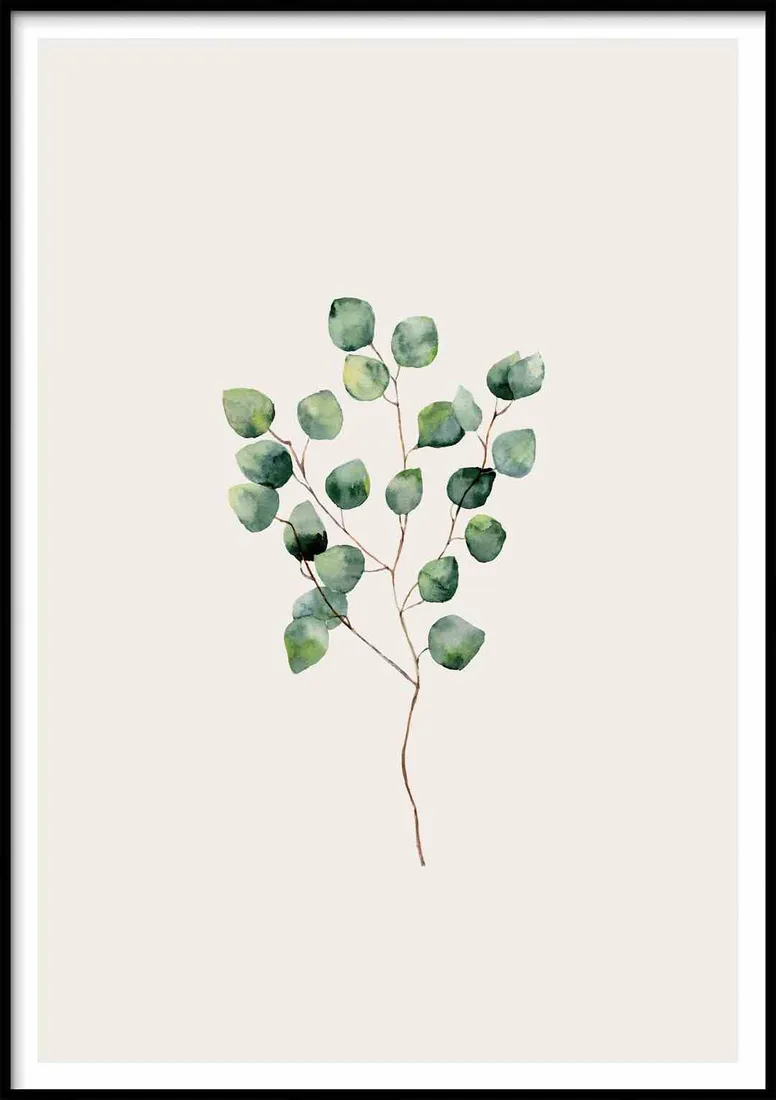 poster-herbarium-50x70