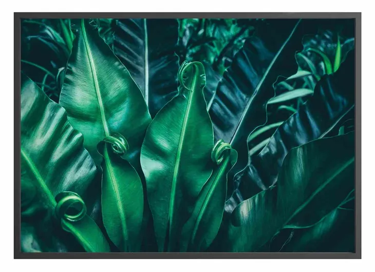 poster-intropics-50x70-stan-nowy