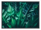 poster-intropics-50x70-stan-nowy