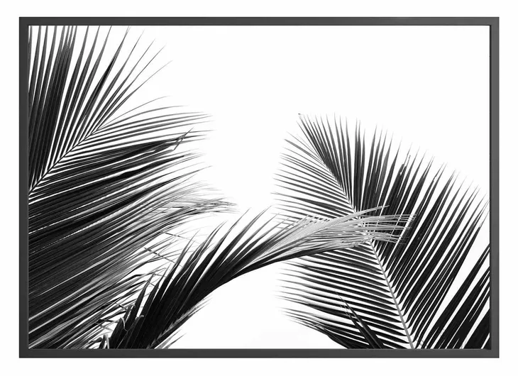 poster-keywest-50x70-stan-nowy