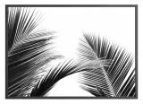 poster-keywest-50x70-stan-nowy