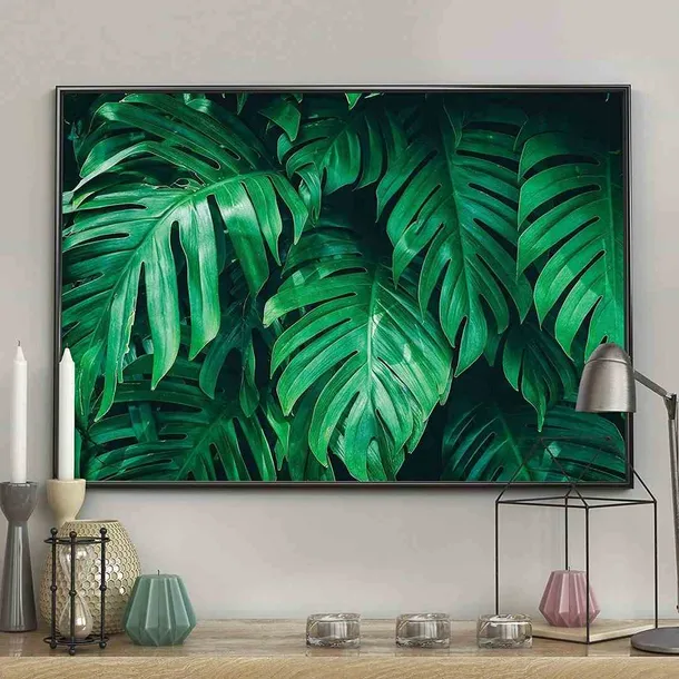 poster-monstera-40x50