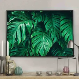 poster-monstera-40x50