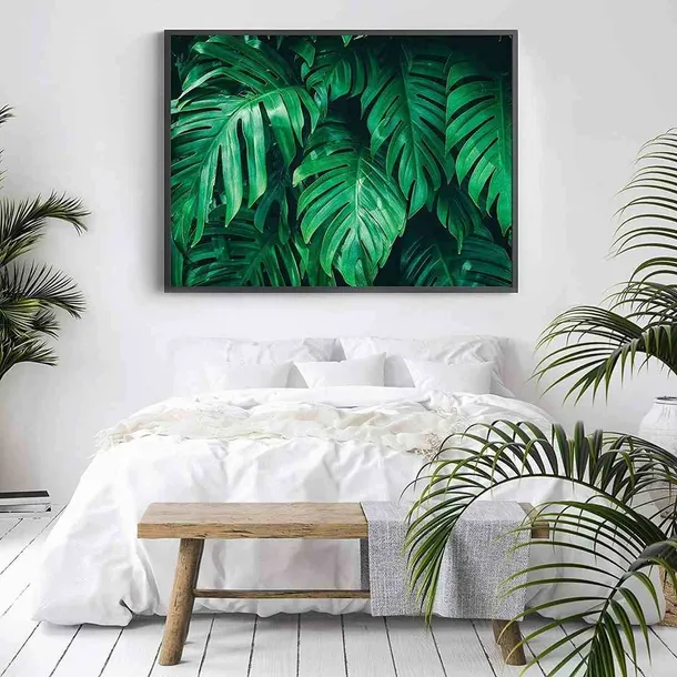 poster-monstera-40x50-stan-nowy