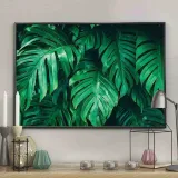 poster-monstera-50x70