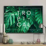 poster-monstera-tropical-50x70
