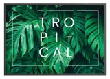 poster-monstera-tropical-50x70-stan-nowy