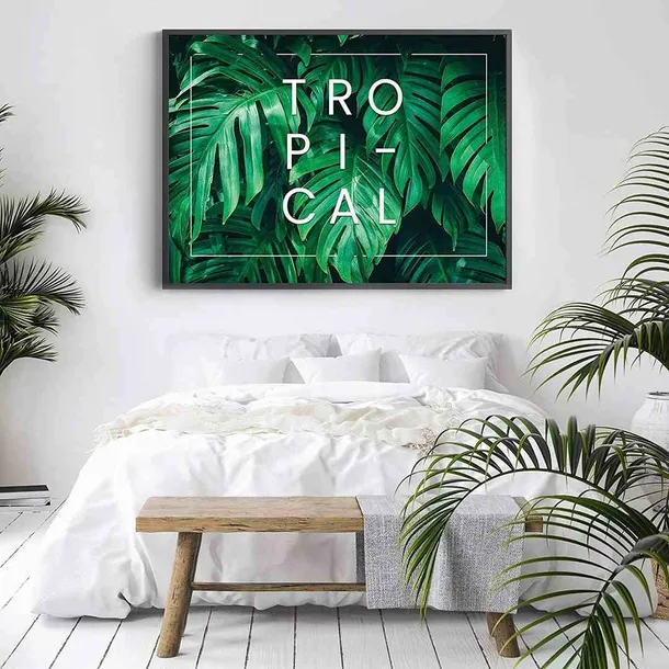 poster-monstera-tropical-50x70-stan-nowy