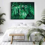poster-monstera-tropical-50x70-stan-nowy