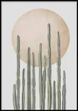 poster-nevada-sun-50x70-stan-nowy