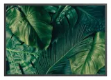 poster-palmforest-40x50-stan-nowy