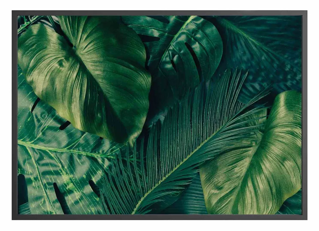 poster-palmforest-40x50