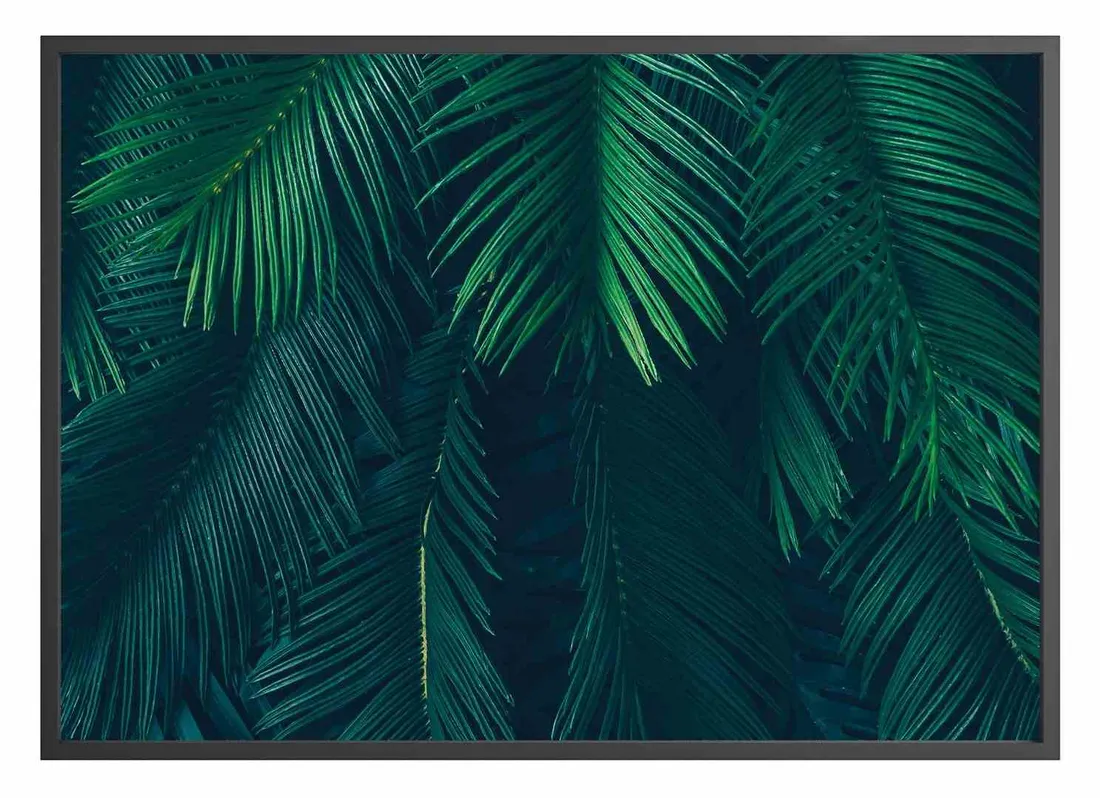 poster-palmleaves-70x100