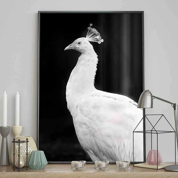 poster-peacock-70x100
